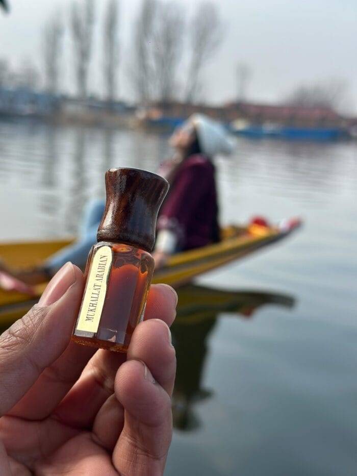 Mukhallat Arabian in kashmir